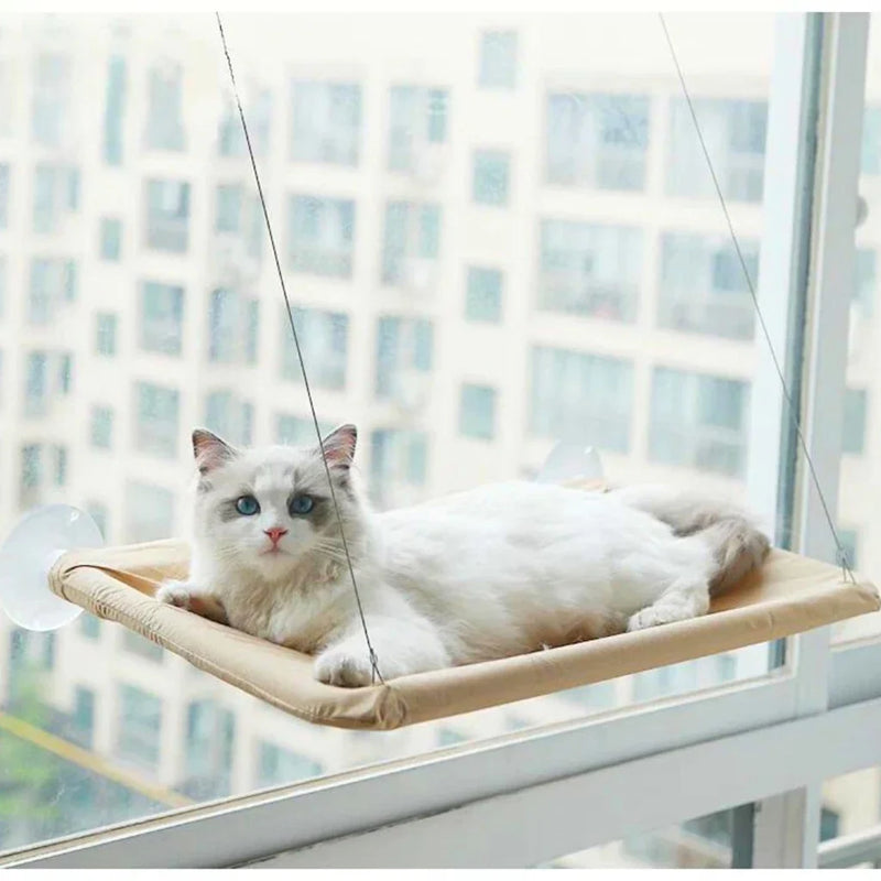 Suporte para Gato de Janela com Ventosas - Vista e Conforto para o Seu Gato!